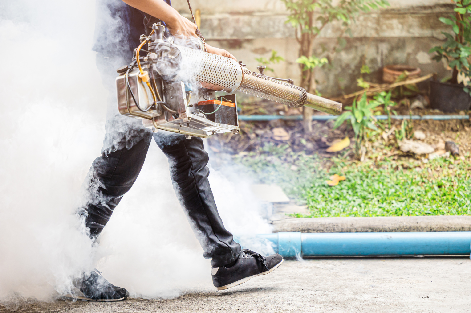 A pest control technician using a fogging machine to eliminate outdoor pests, providing effective pest control in Mountain View.