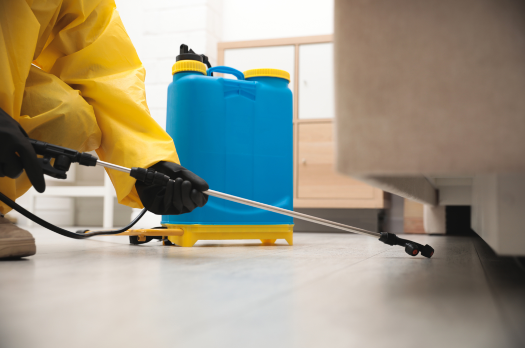A pest control specialist treating an indoor space, reinforcing the importance of pest control in Mountain View for residential protection.